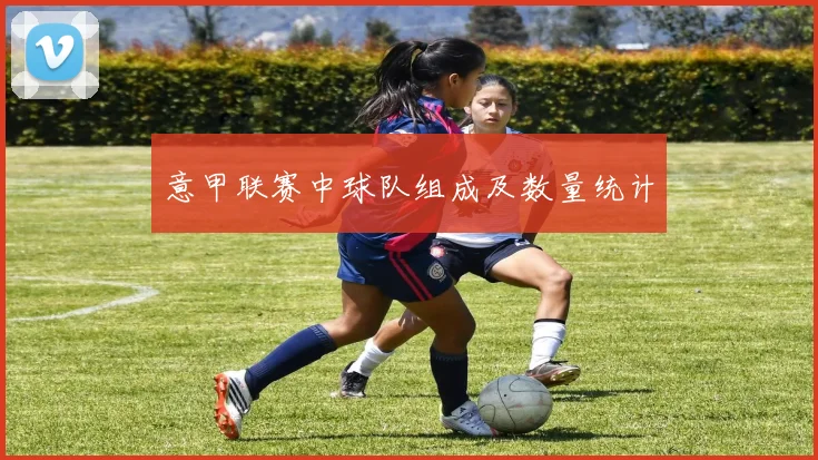 意甲联赛中球队组成及数量统计