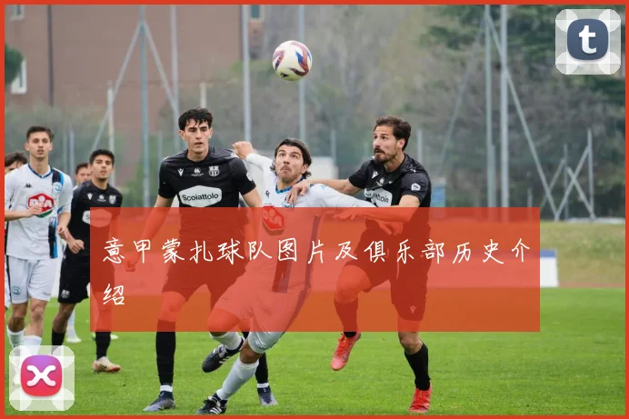意甲蒙扎球队图片及俱乐部历史介绍